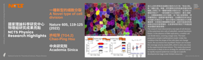 [NCTS Physics Research Highlights] Chao-Ping Hsu 'A Novel type of cell division', Nature 605, 119-125 (2022)